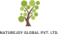 logo (1)